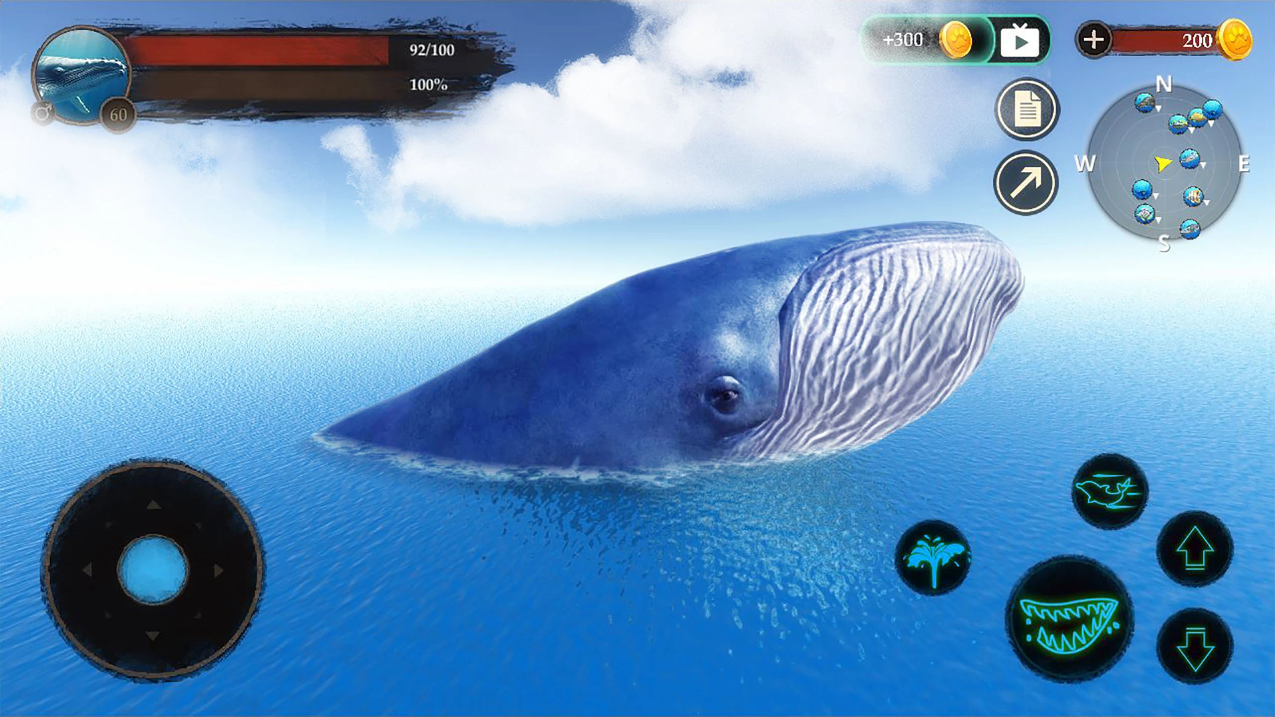 The Blue Whale screenshot